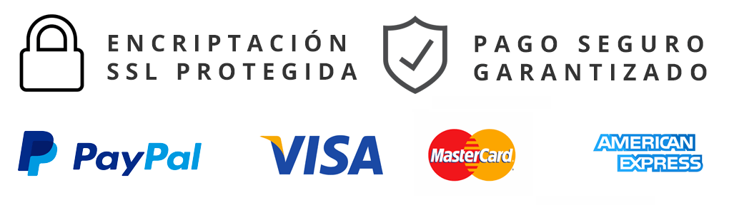 pago-seguro-1-min